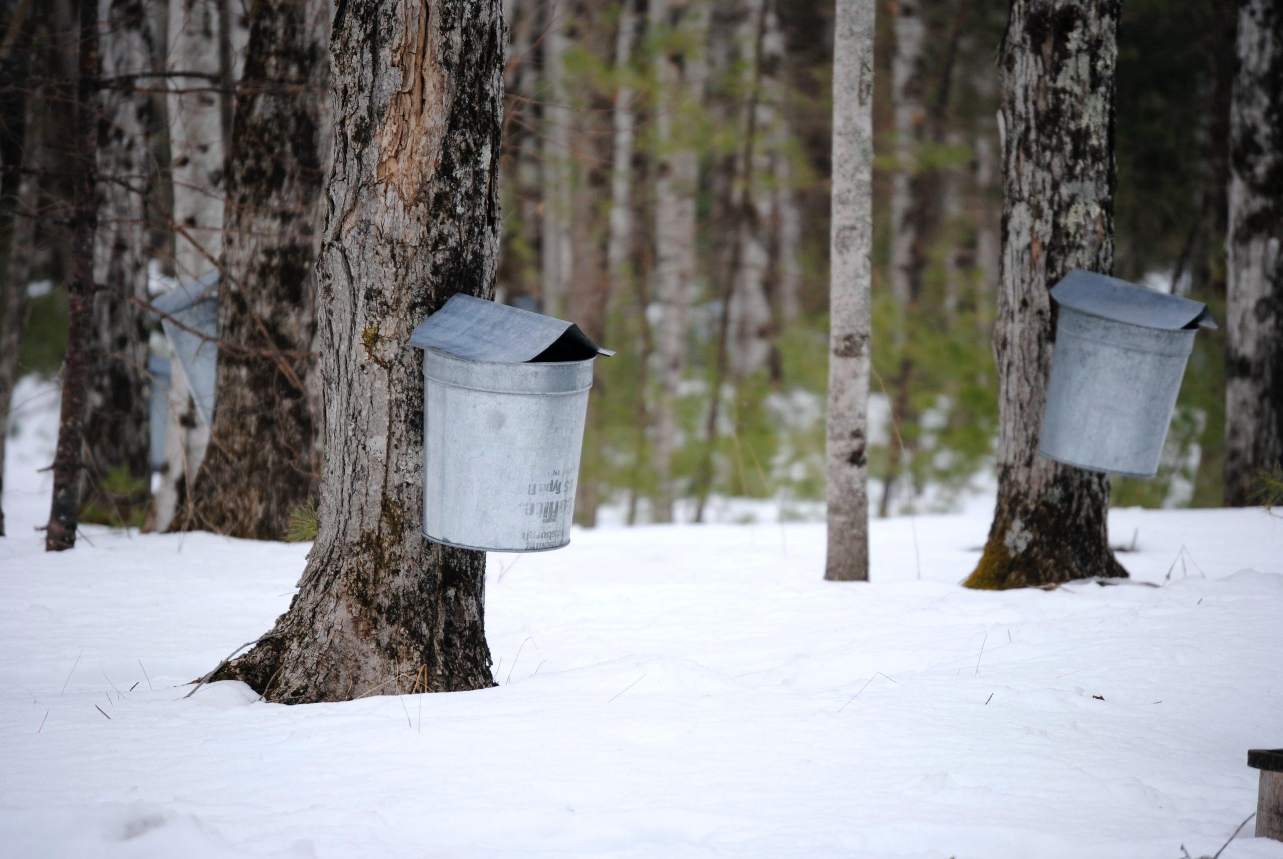 Eden Prairie Outdoor Center: Your Gateway To Adventure