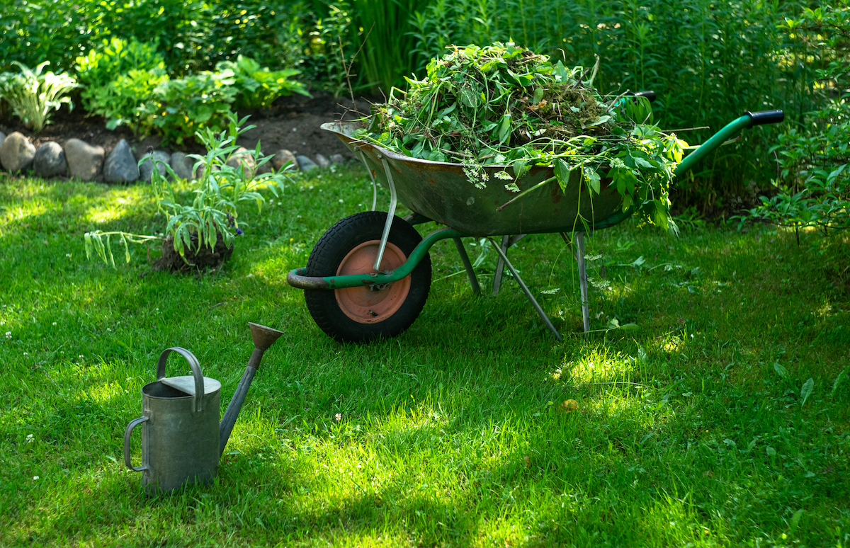 City's Yard Waste Site Opens Friday - Eden Prairie Local News