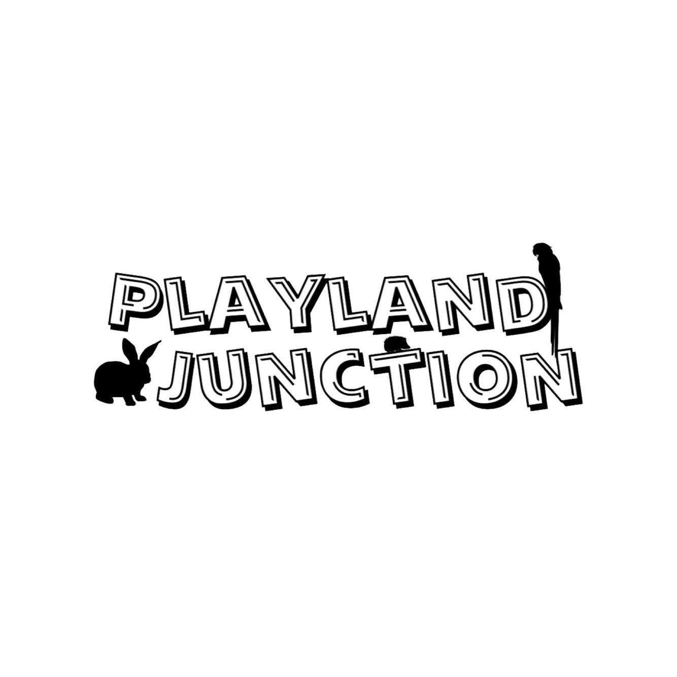 Playland Junction