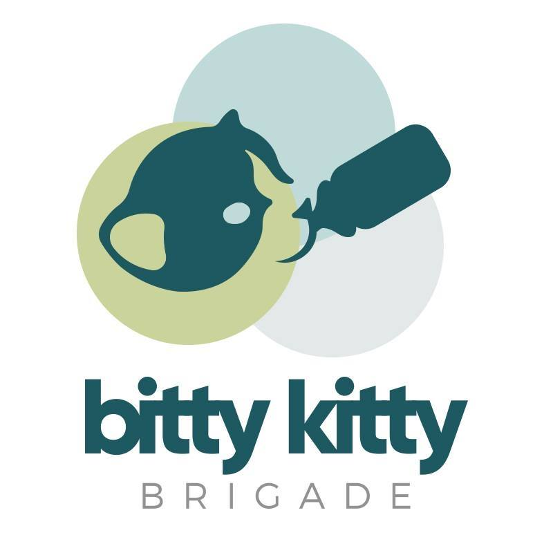 Bitty Kitty Brigade